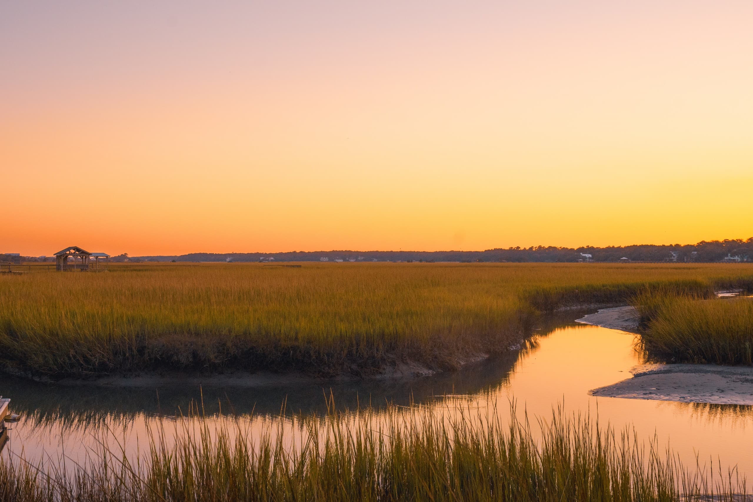 Golden marsh sunset with winding tidal creek reflections