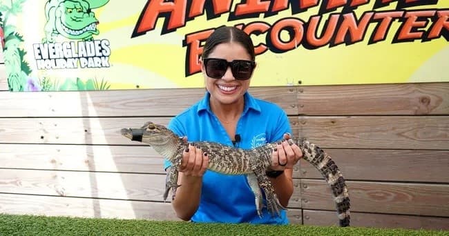 Hands-On Everglades Animal Encounters Near Fort Lauderdale photo 3