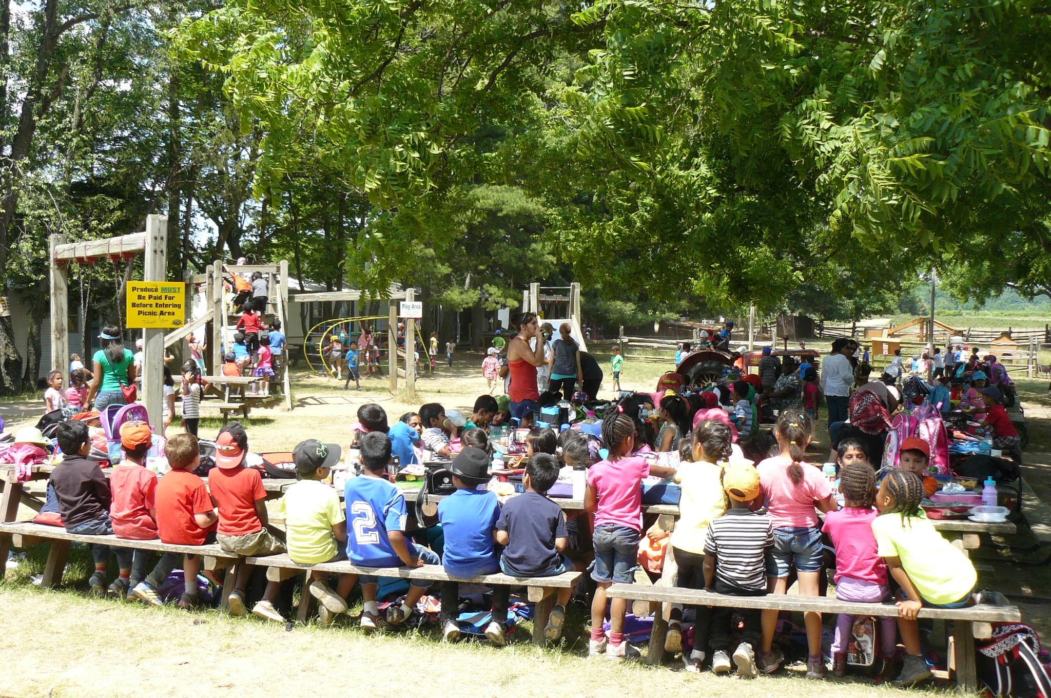 Outdoor Education & Farm Adventures at Andrews Farm Market & Winery
