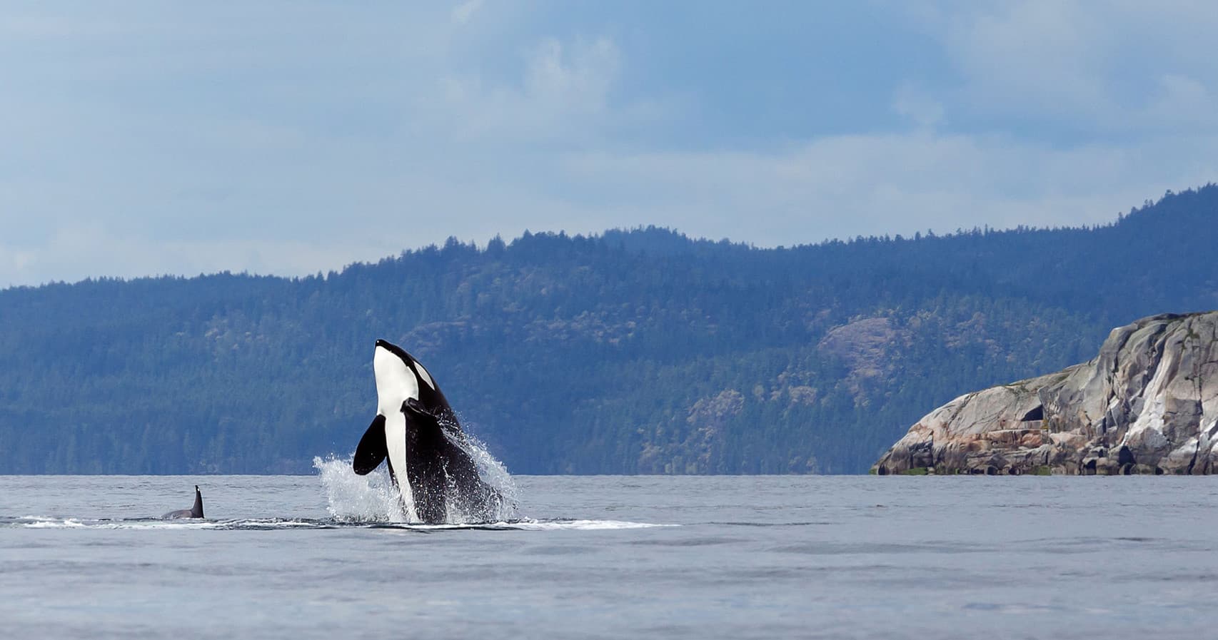 Desolation Sound Zodiac Tours with Terracentric Coastal Adventures