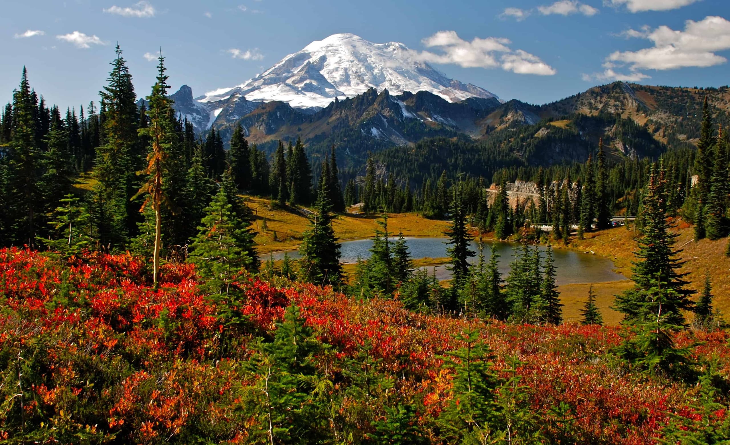 Private SUV Mt. Rainier Tour with Tours Northwest in Washington