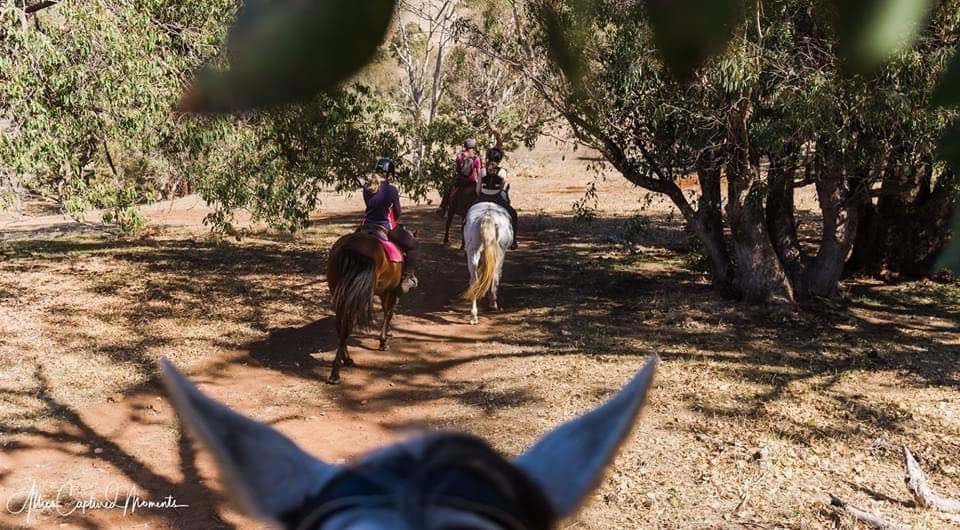 Private Two-Hour Horse Ride Through Jarrahdale’s Jarrah Hills | Perth Views & Wildlife photo 2