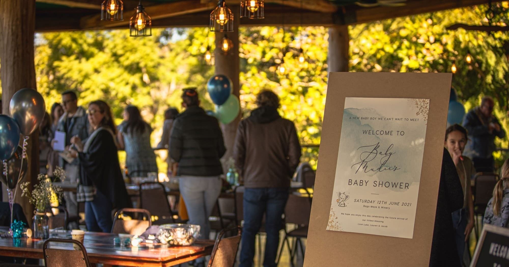 Land Adventures at Bago Maze & Vineyards by The Tractor Shed