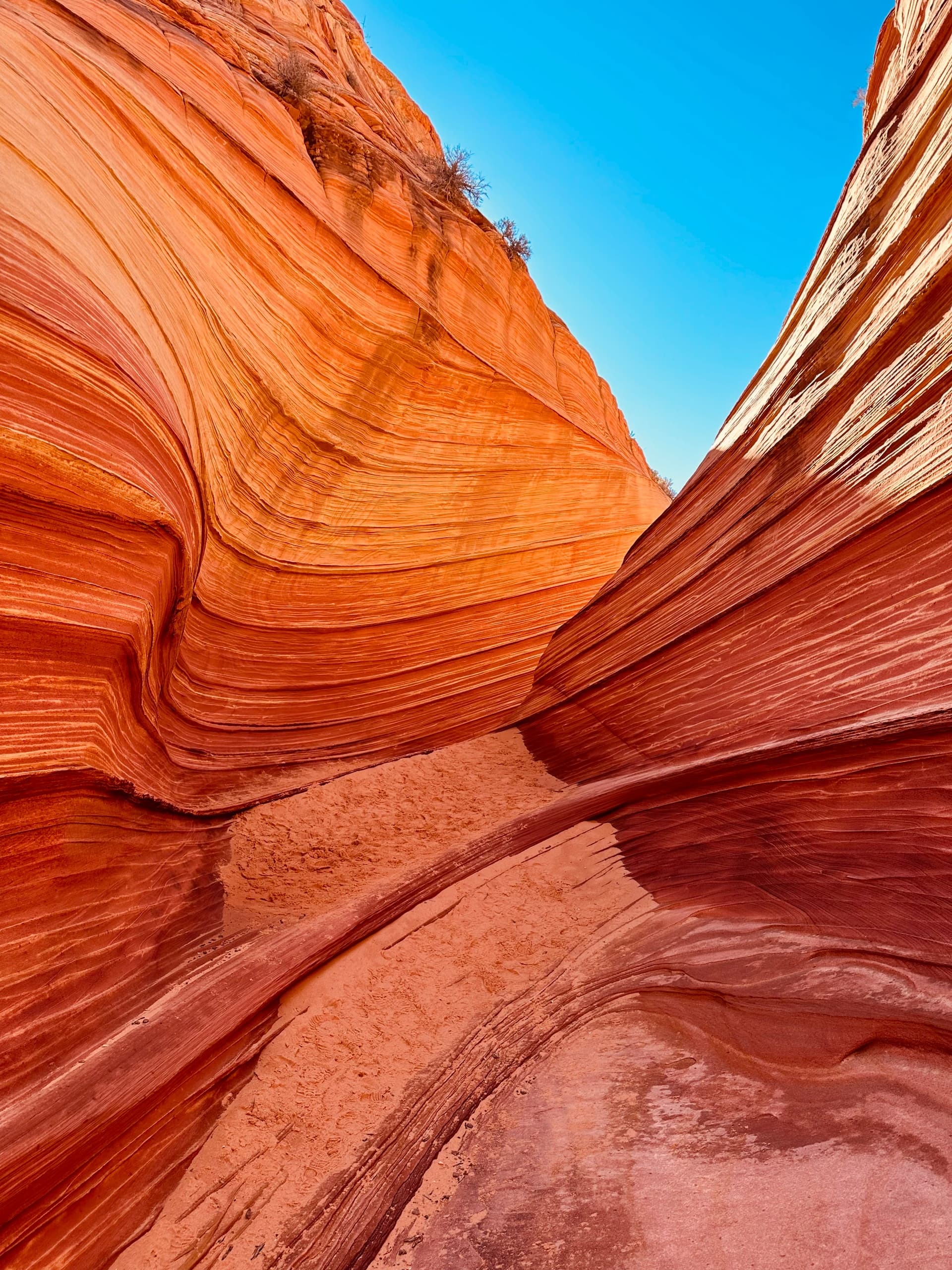 The Wave Tour: Epic Hiking Adventure Near Kanab, Utah