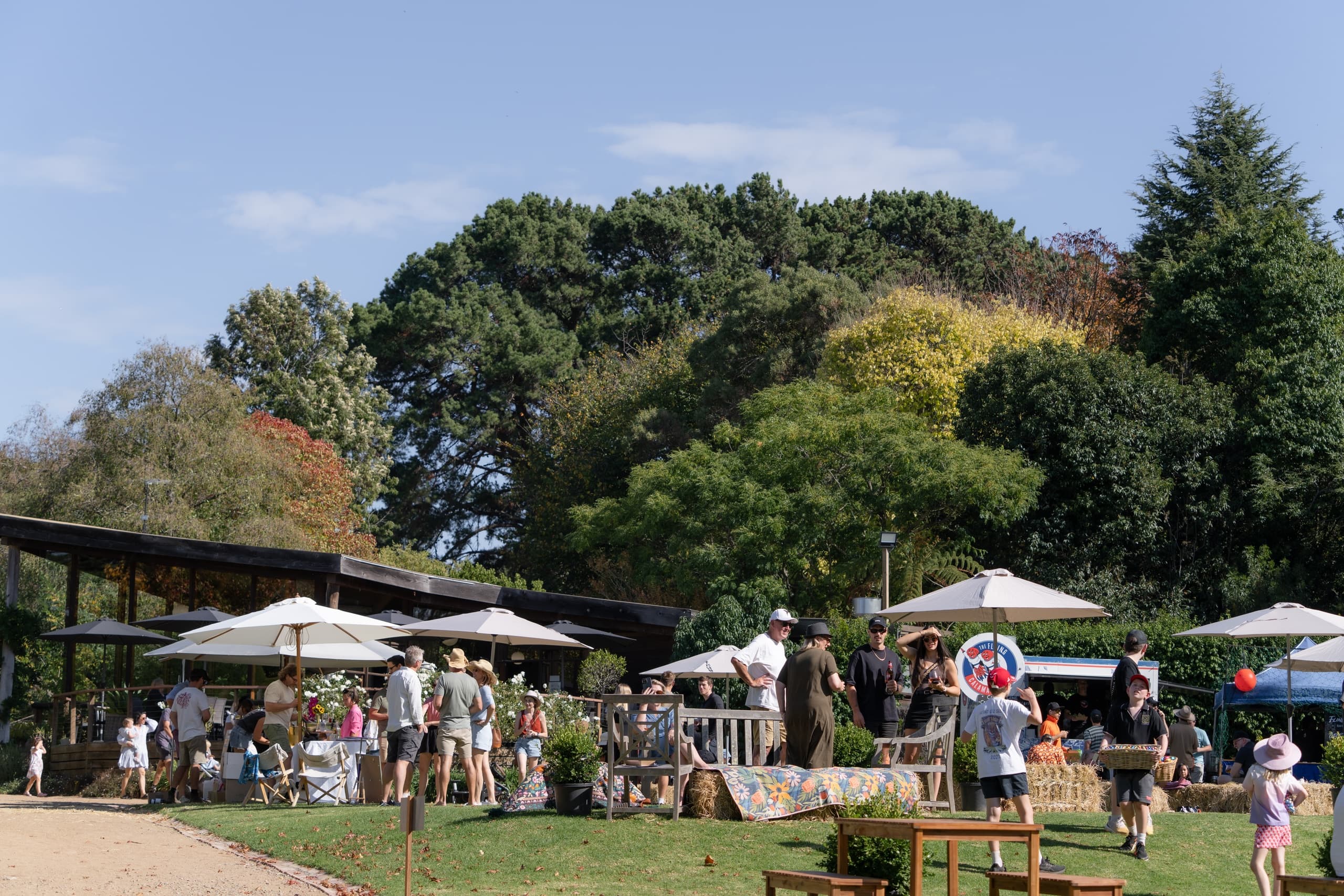 Sunday Mid-Summer Sounds at Ashcombe Maze: Pizza, Wine & Live Music in Shoreham photo 2