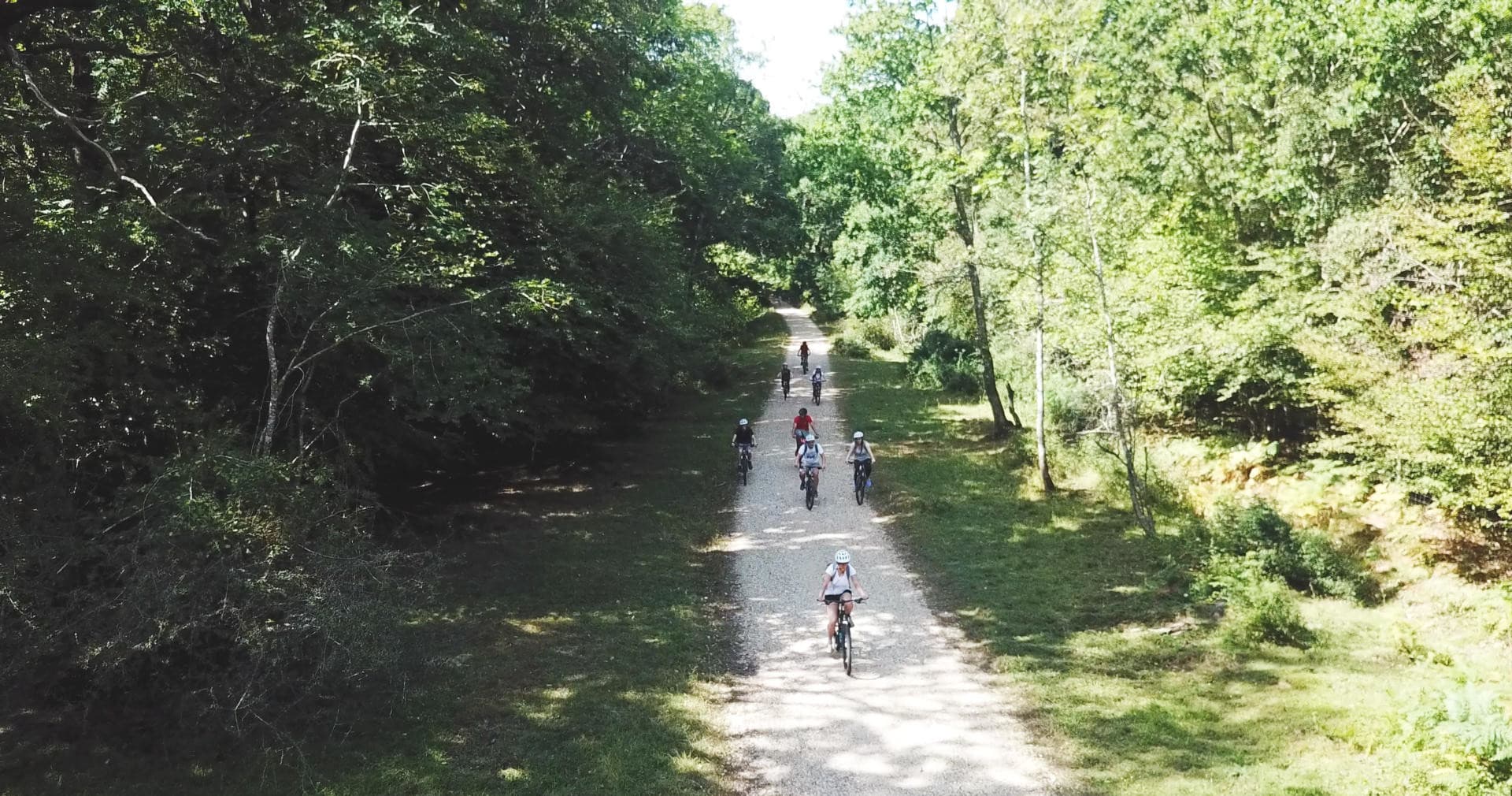 New Forest Cycle Hire Adventure with New Forest Activities