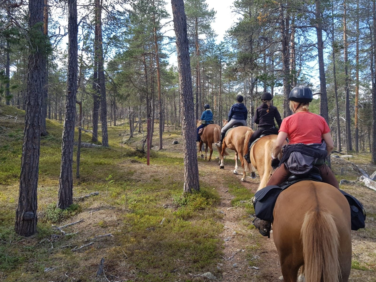 Land Adventures at Polaris Point Horses: Hidden Trail Ride