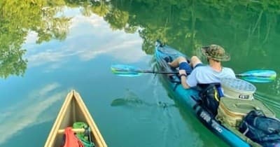 Canoe bow perspective paddling on calm river with trees