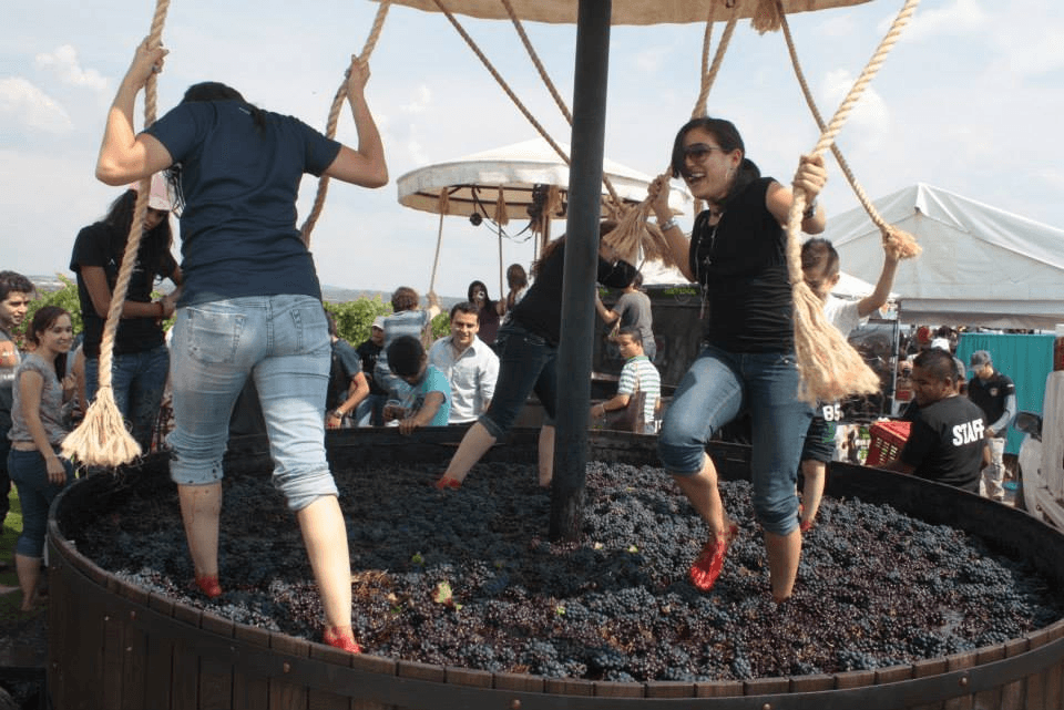 Hot Air Balloon Wine & Cheese Tours by Globos Aerostáticos MX