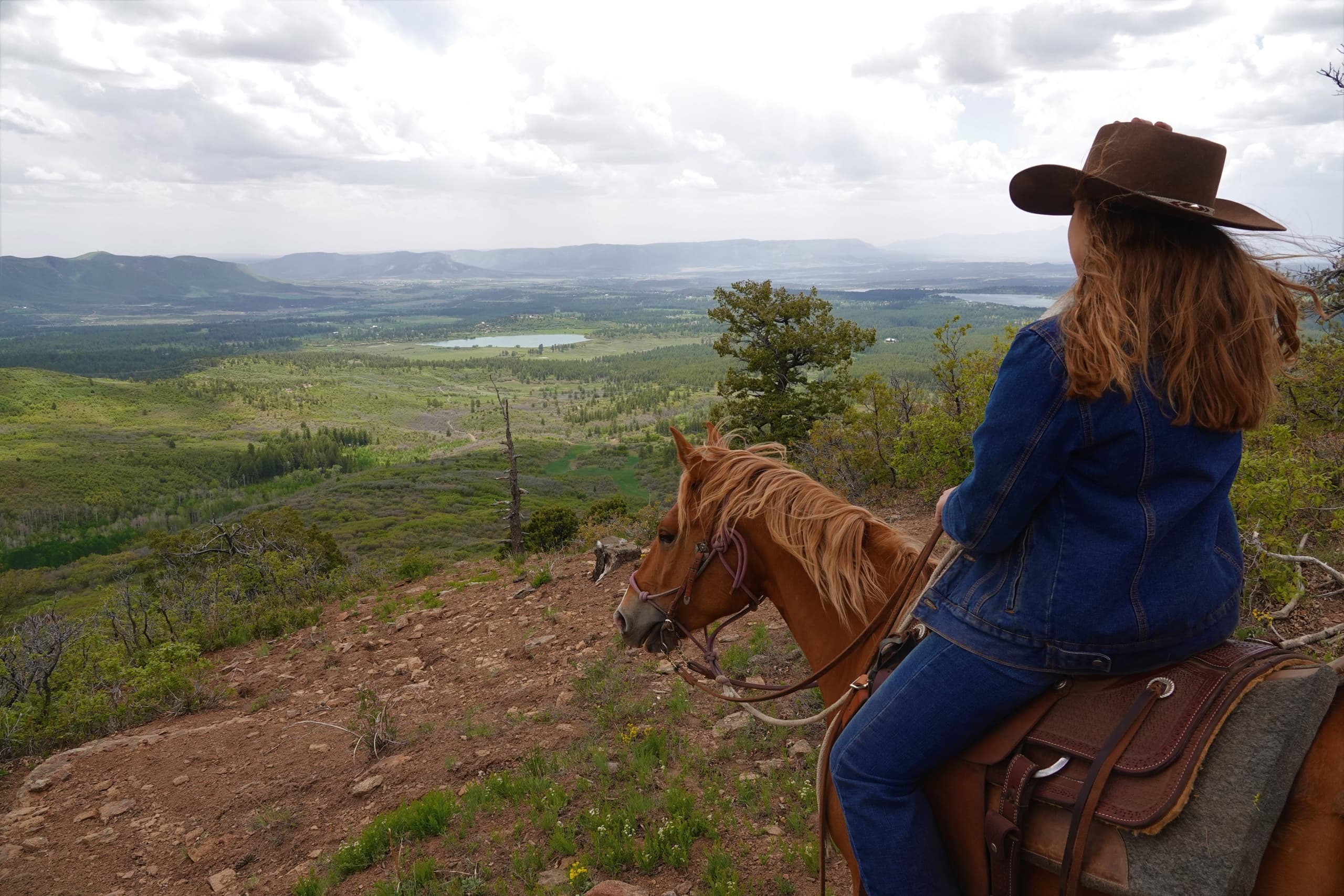 Echo Basin Ride: Horseback Adventure in Mancos, Colorado