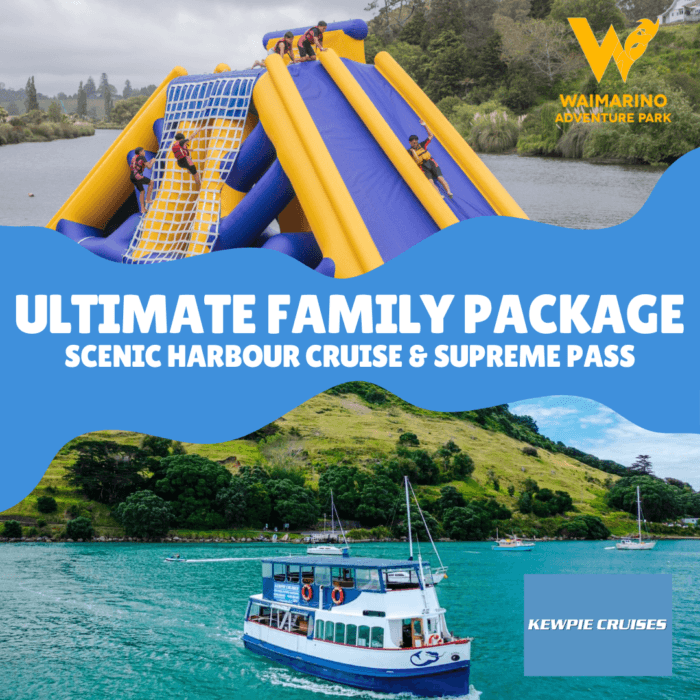 Tauranga's Ultimate Family Day: Harbour Cruise + Waimarino Adventure Park