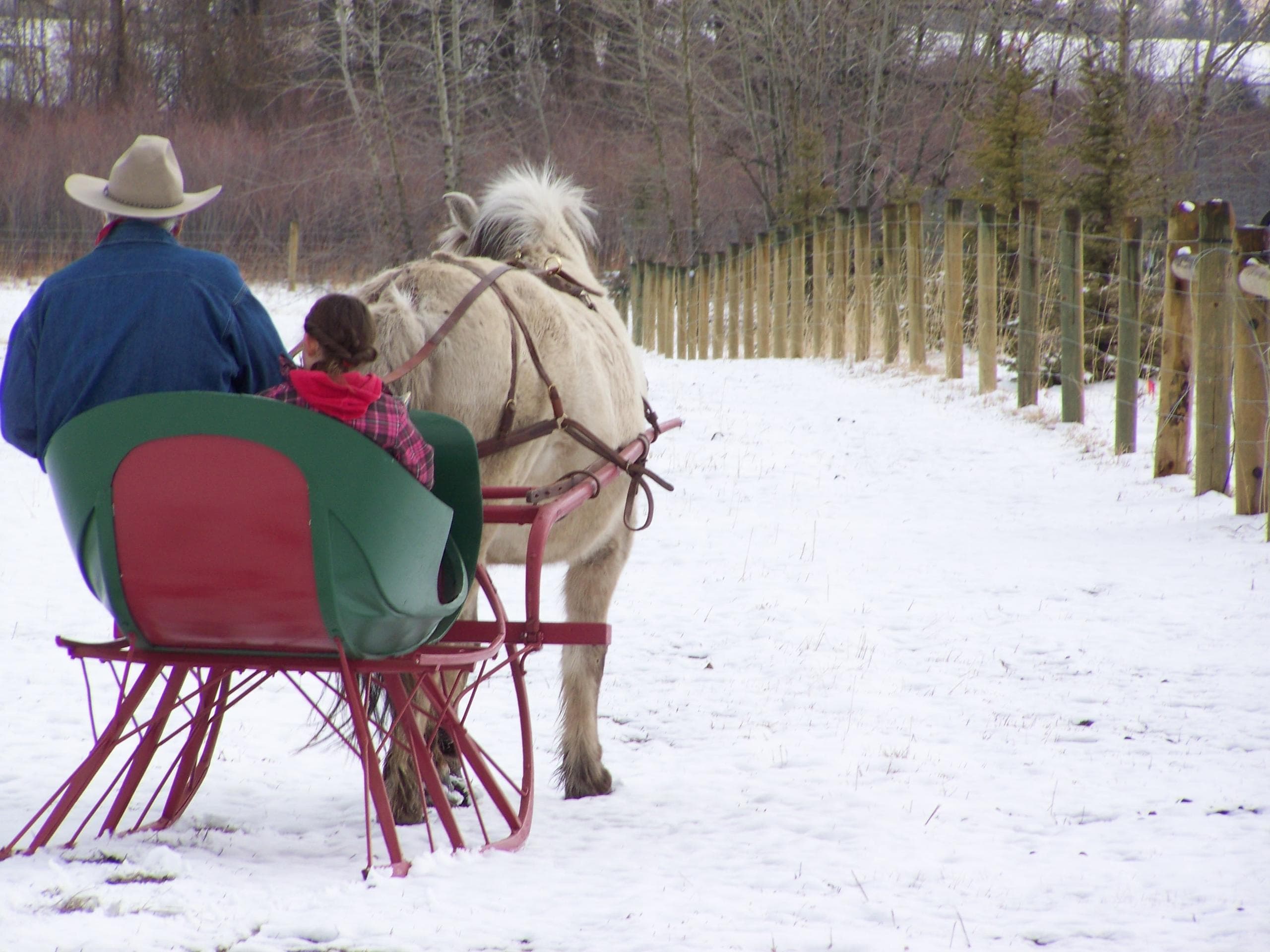 Valentine's Day Sleigh Ride at Sunrise Pack Station in Bozeman