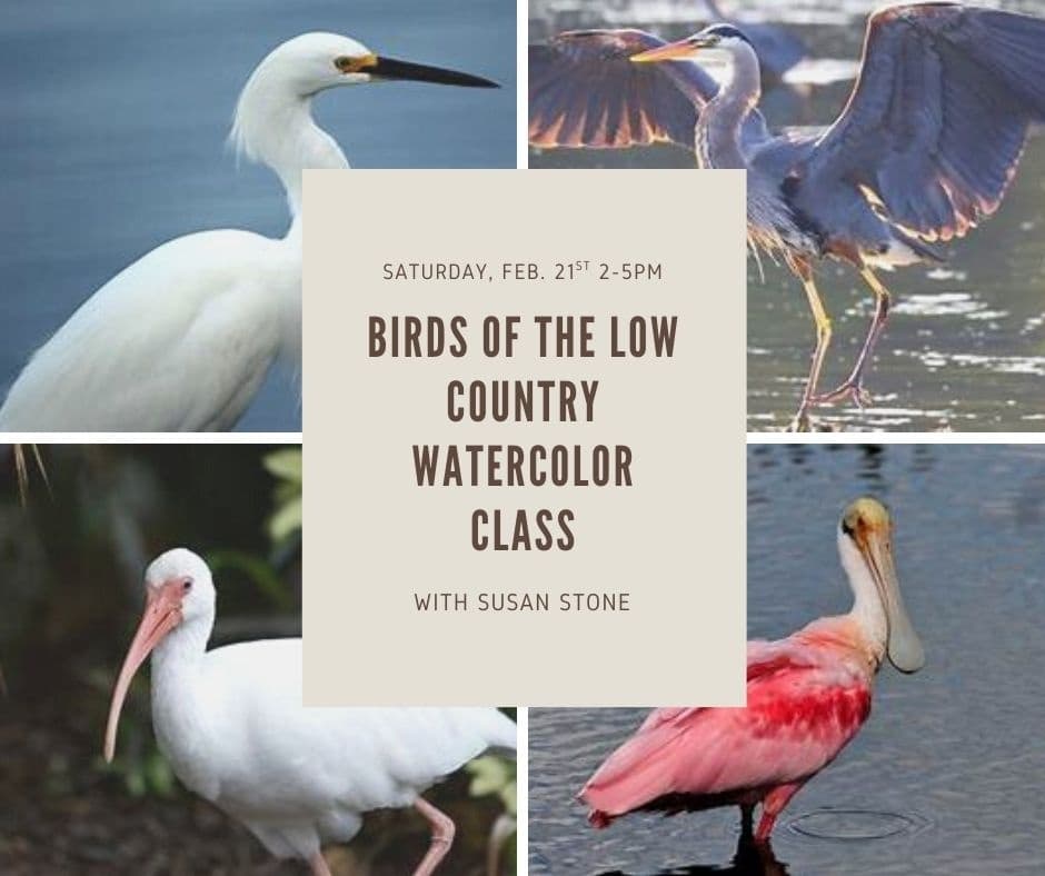 Paint Low Country Waterfowl: Watercolor Class in Port Royal photo 1