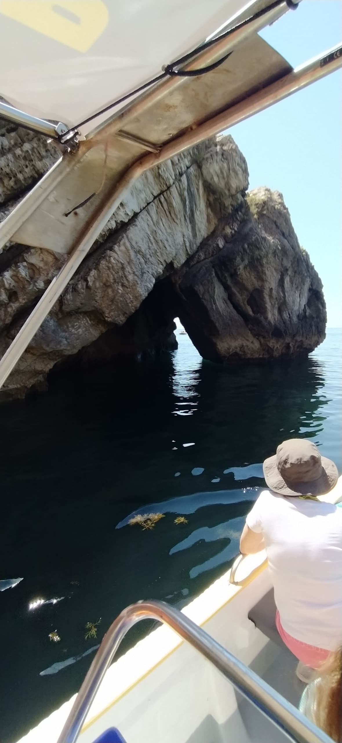 Boat Tour - Praias e Grutas | Boat Tour in Sesimbra (Castelo) | Water Activities, Sightseeing Tour, Wildlife, Eco Tour