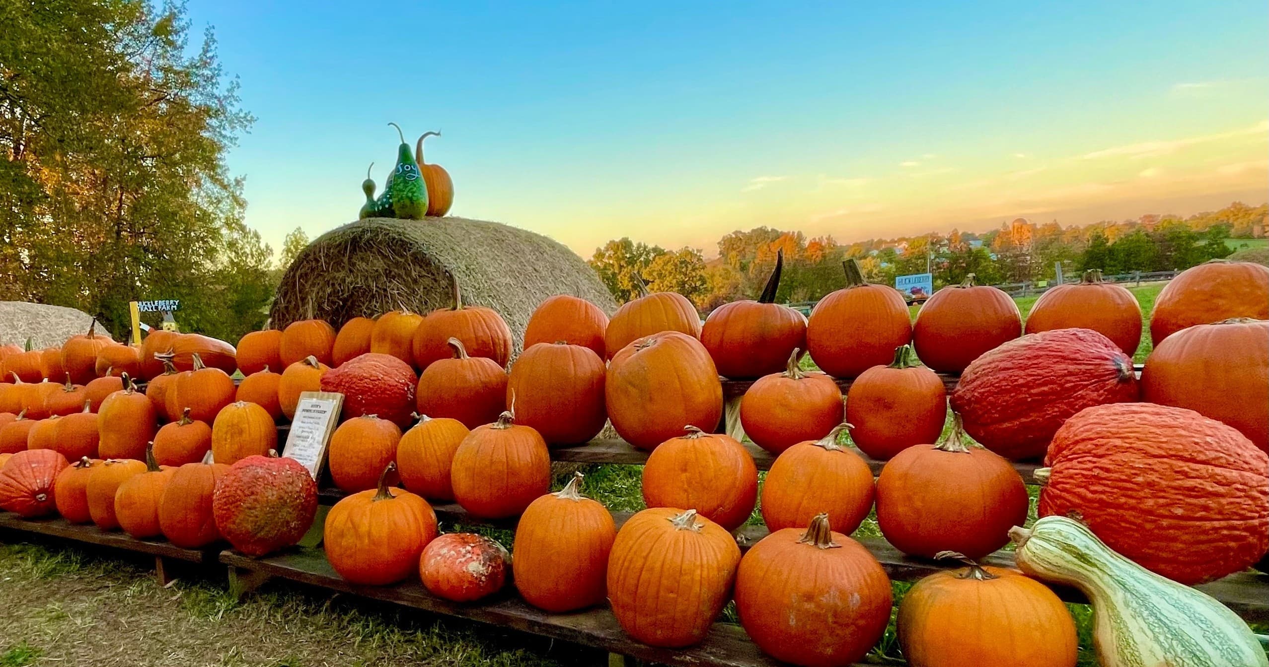 Family Fun & Seasonal Events at Huckleberry Trail Farm, NC