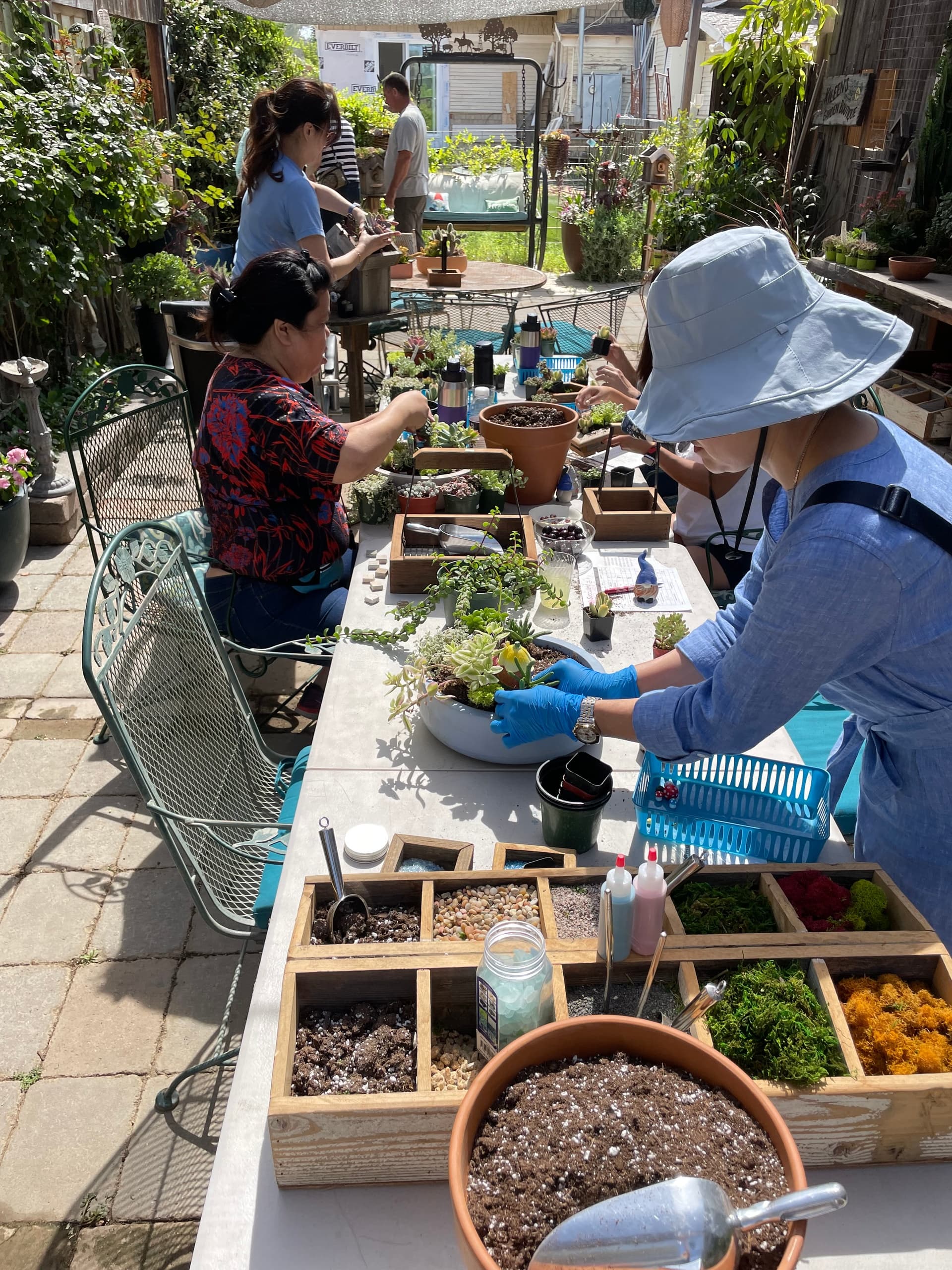Succulent Potting Parties with Succulent Vertical Gardens in Clovis