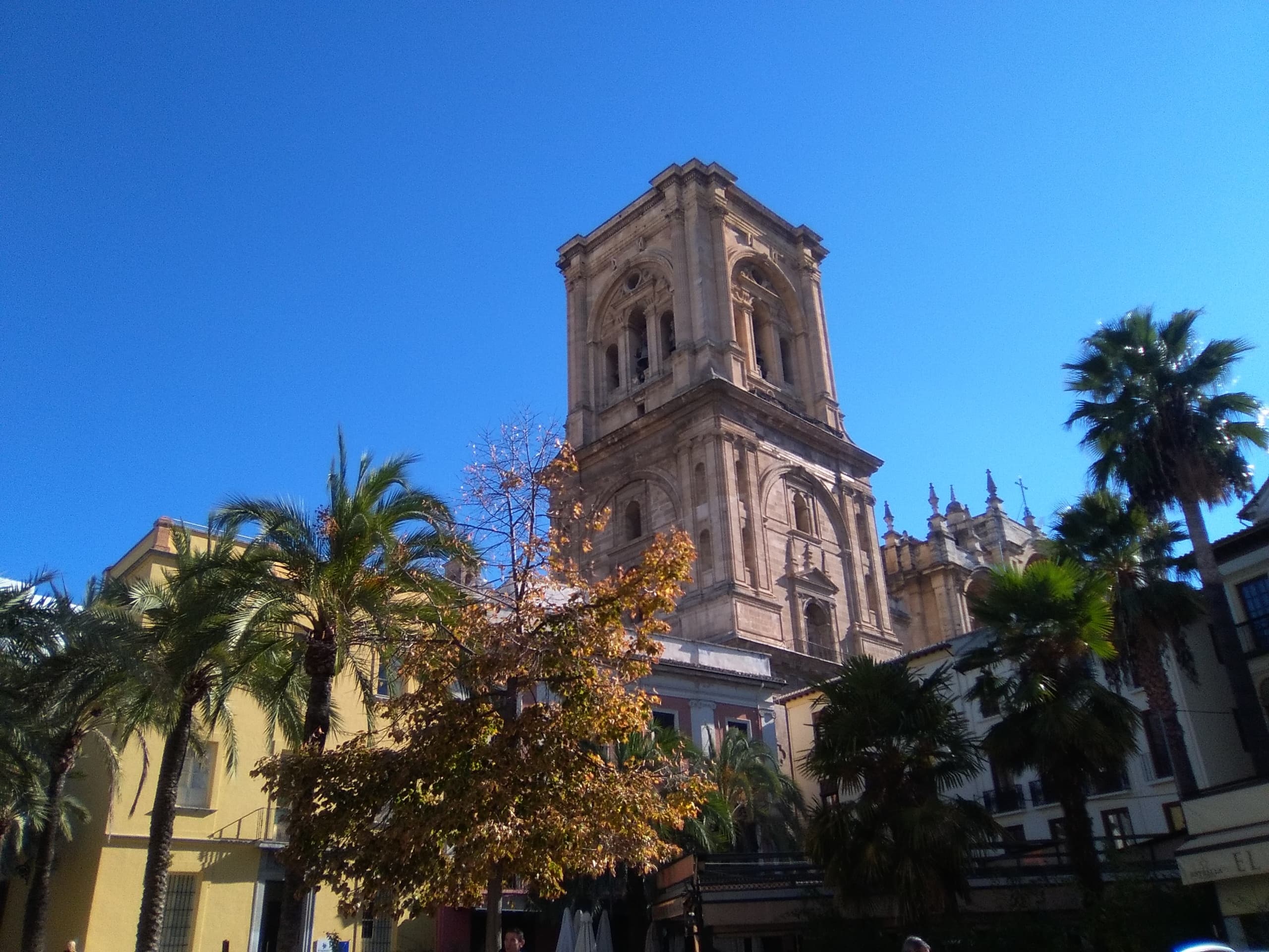 Free Walking Tour Highlights with Walk in Granada