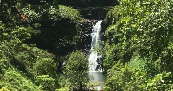 Half Day Hana Adventure: Luxury Tour in Kahului, Hawaii