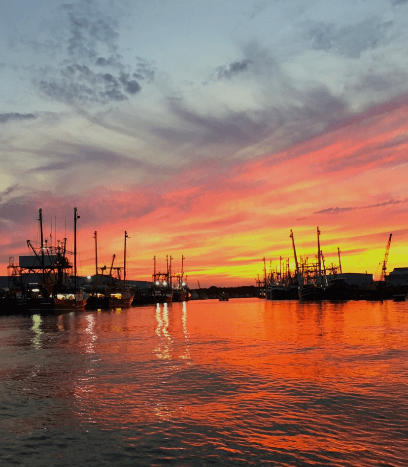 After Hours Back Bay Cruise in Sea Isle City, NJ