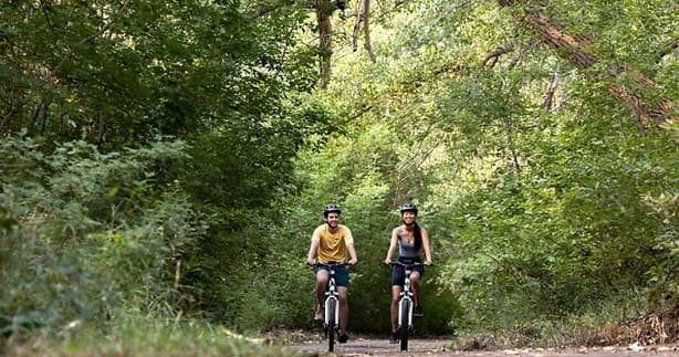 Two cyclists riding shaded tree-lined multiuse path in park