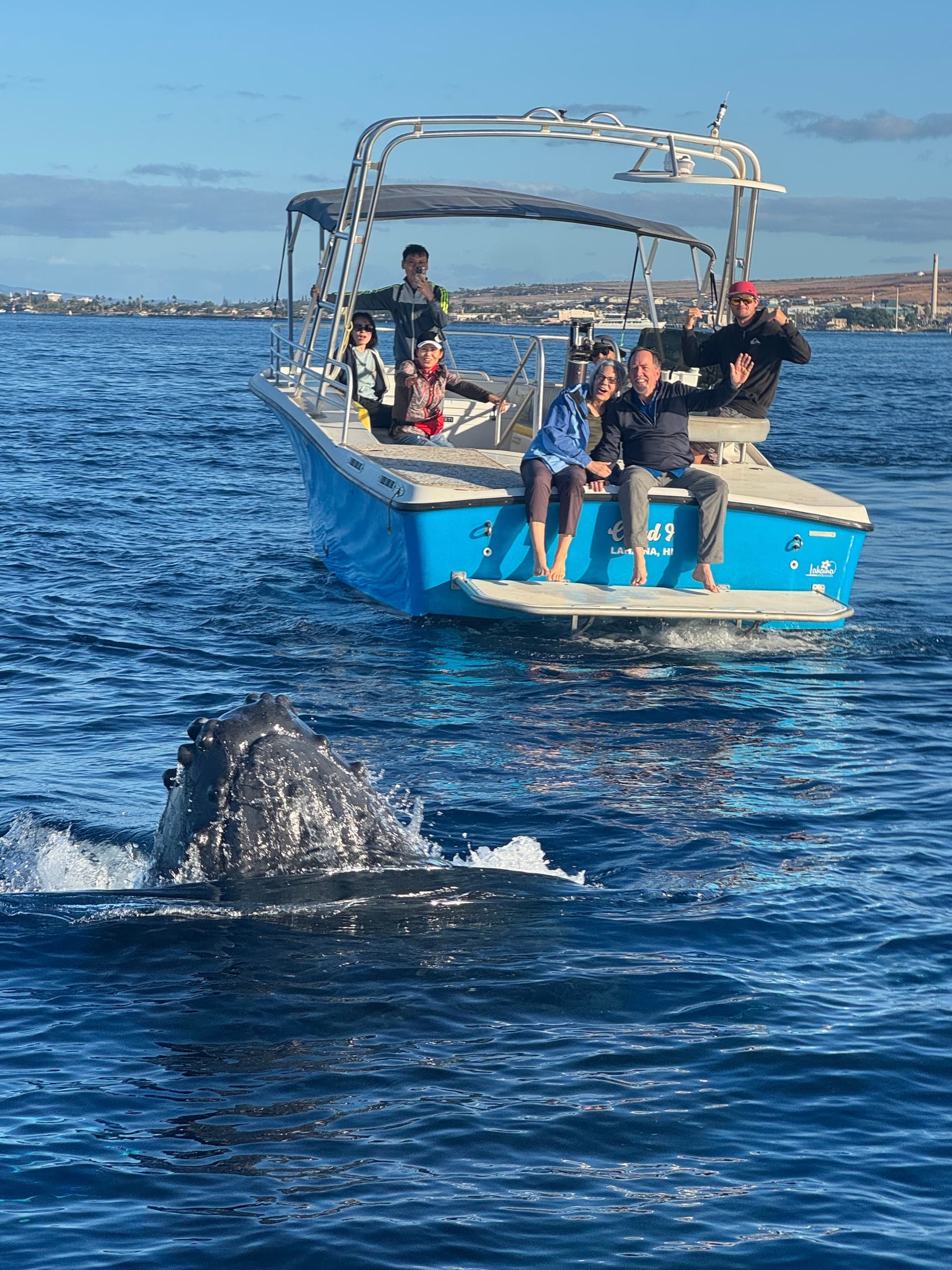 Maui Whale Watching from Kaʻanapali Beach: 2-Hour Humpback Encounters photo 2