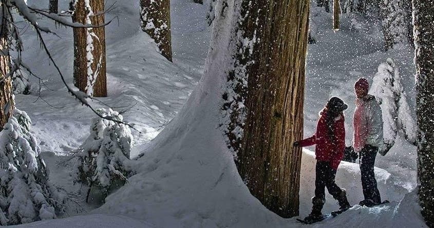 Winter Land Adventures at Canadian Wilderness Adventures