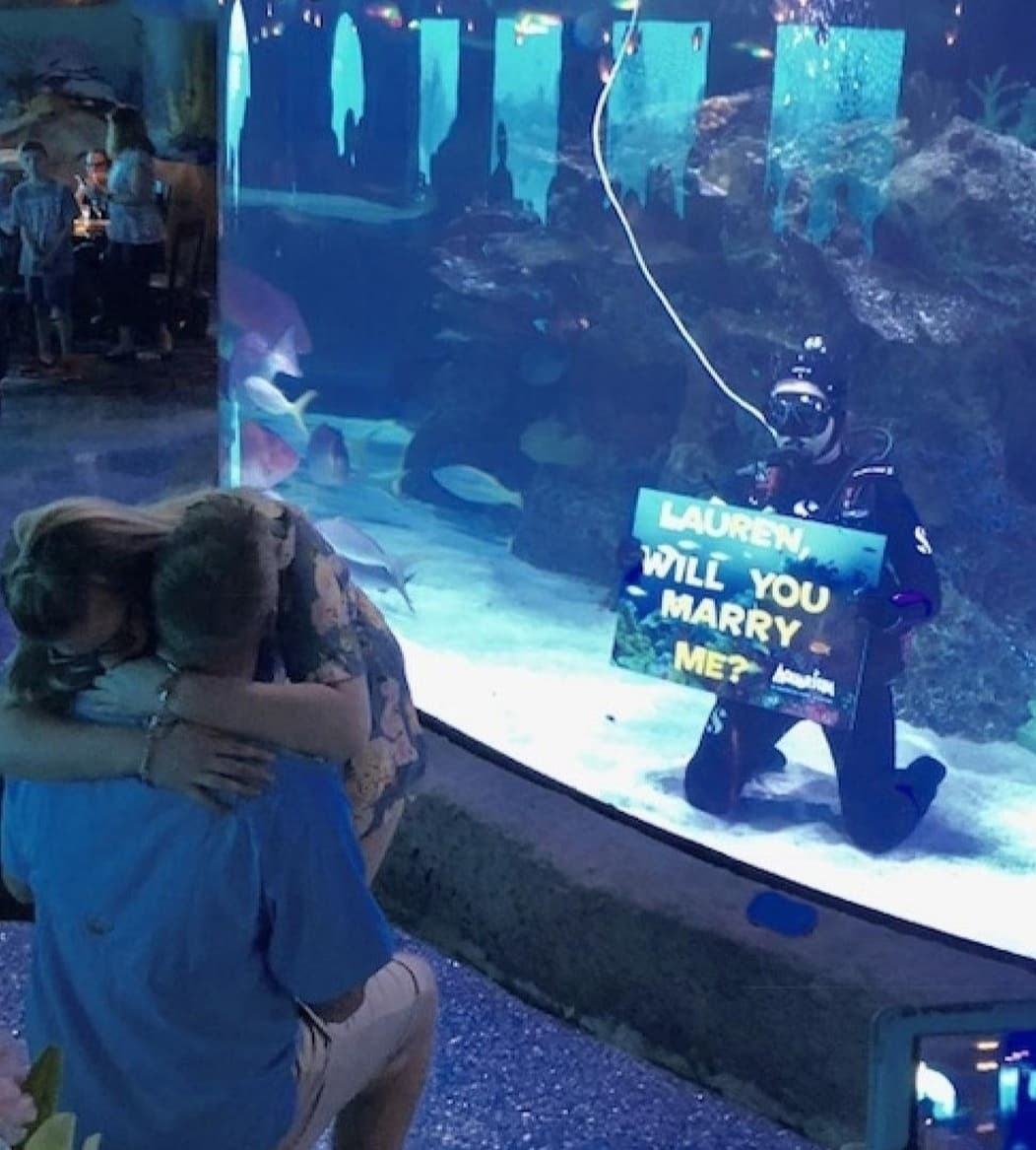 Diver kneeling underwater with sign in large aquarium tank