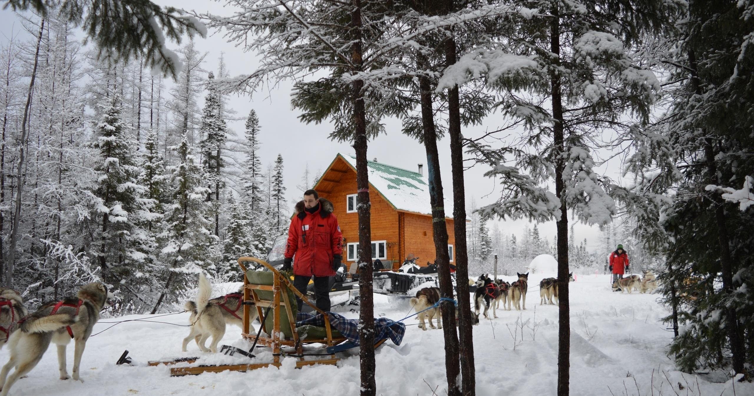 Dog Sledding Adventure at Chalets Villégiature Daaquam