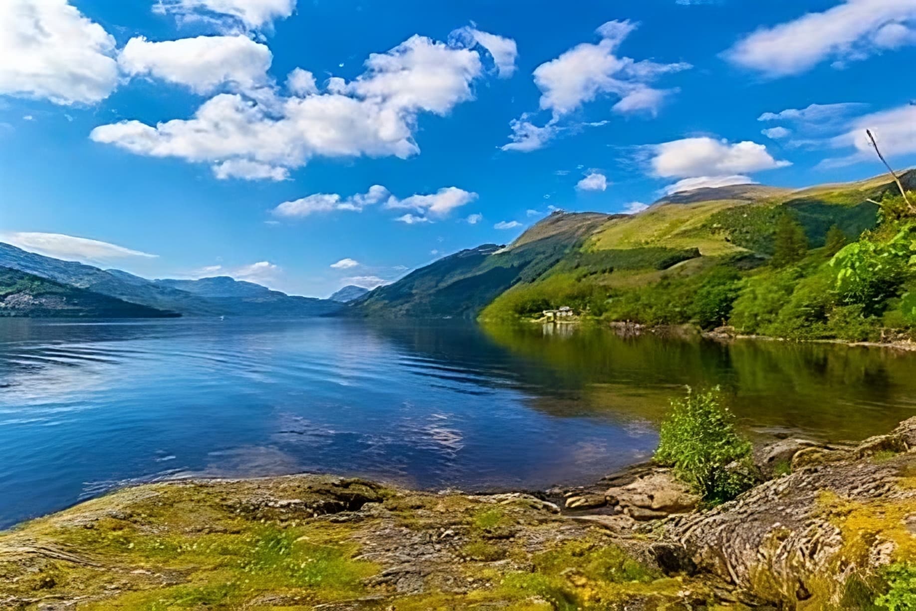 Loch Lomond Shore Excursion from Greenock: Luss, Highland Cattle & Stirling Castle photo 1