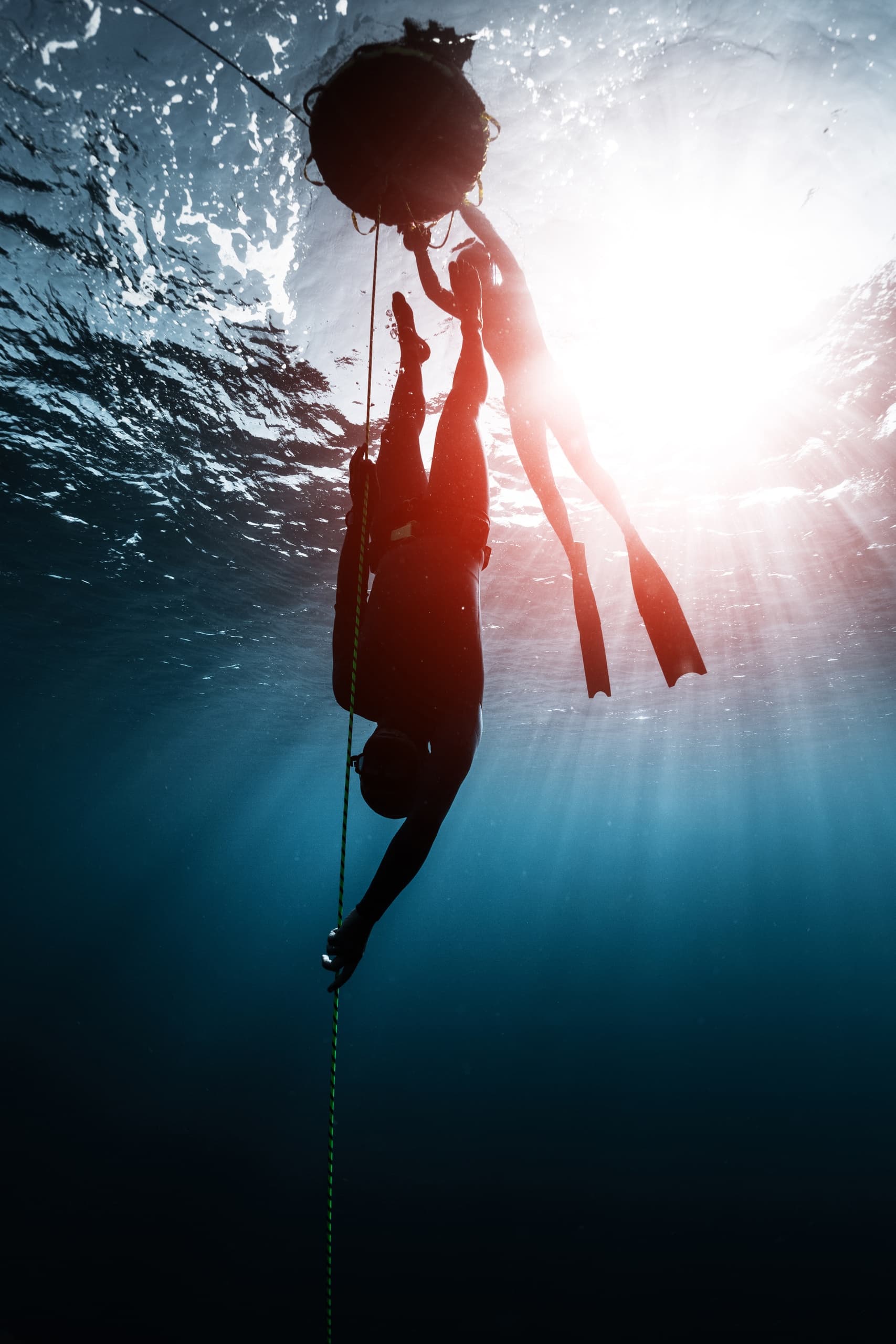 Freedive Line Diving Training in Monterey, CA