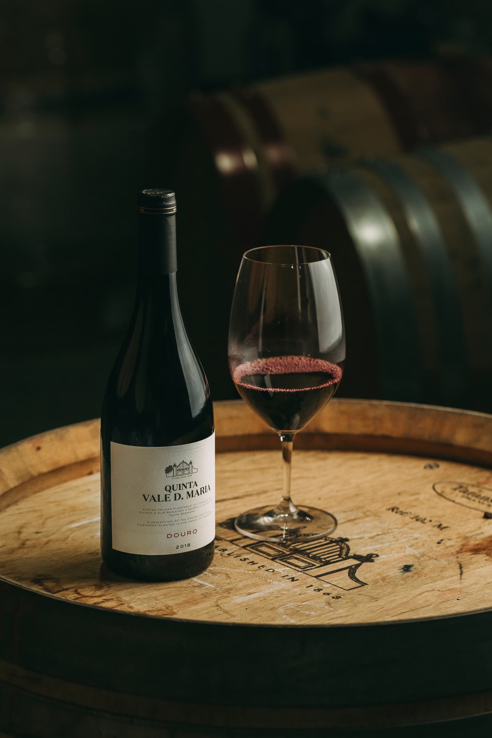 Wine Tasting & Vineyards at Douro Premium in Portugal