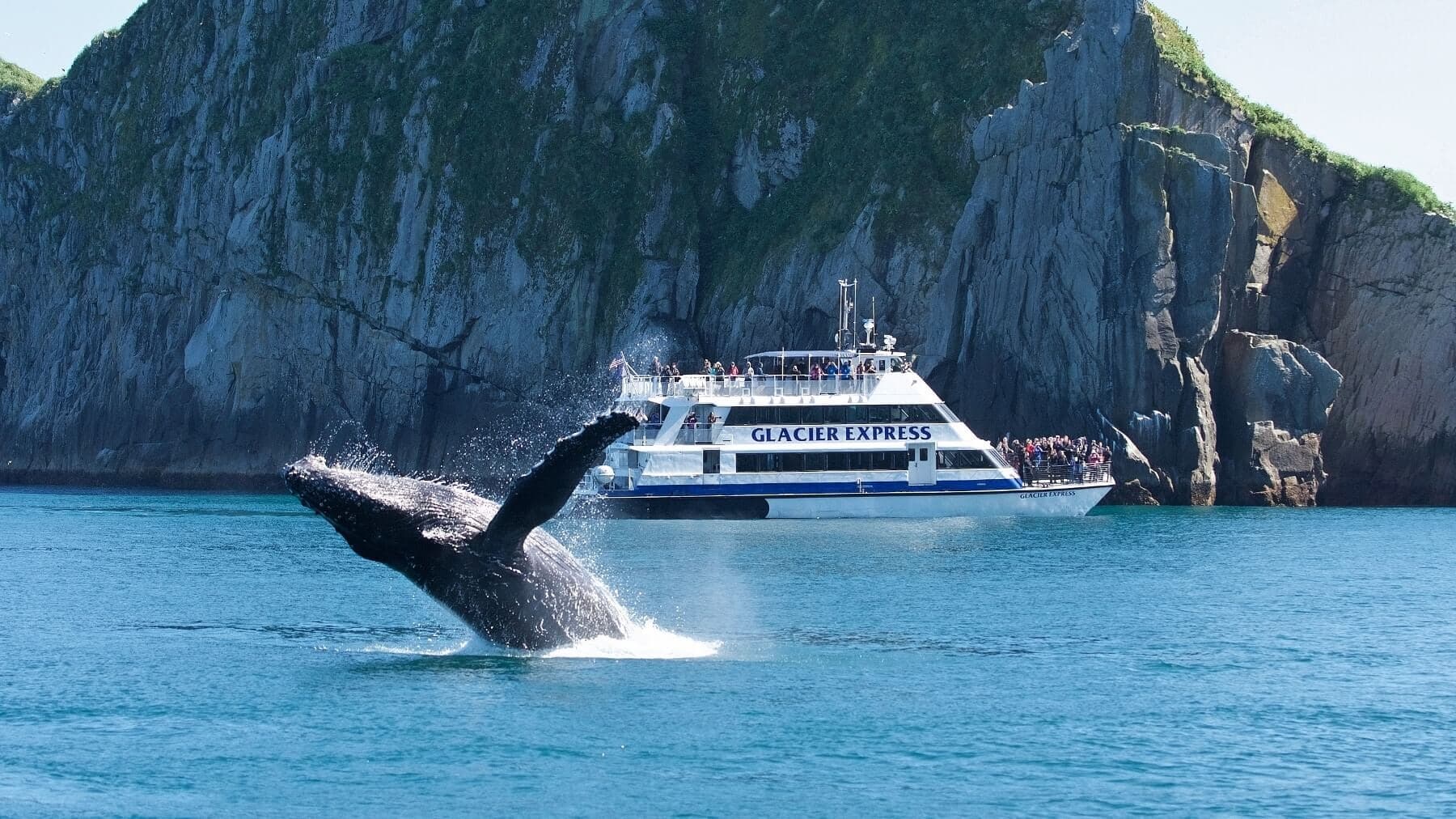 Kenai Fjords Cruise: Wildlife & Glaciers in Seward, Alaska