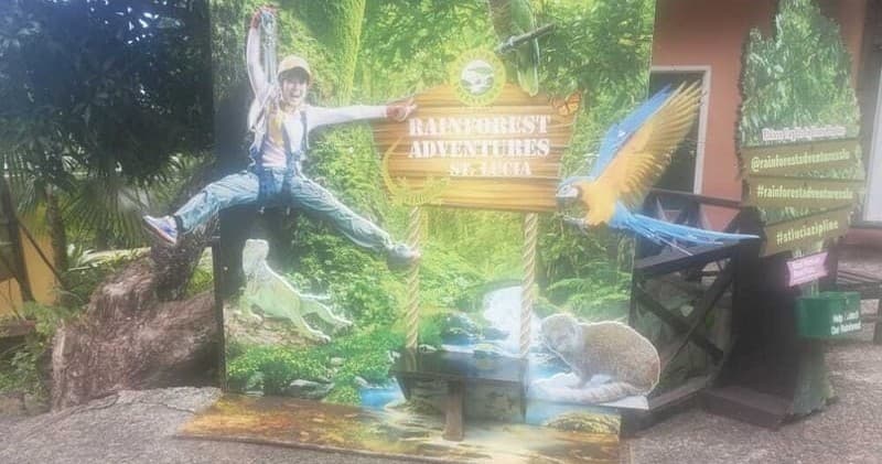Water Activities & Rain Forest Adventures in St. Lucia