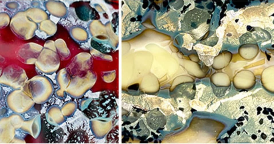 Sarinda Jones: Reactive Actives Workshop in Denver, CO