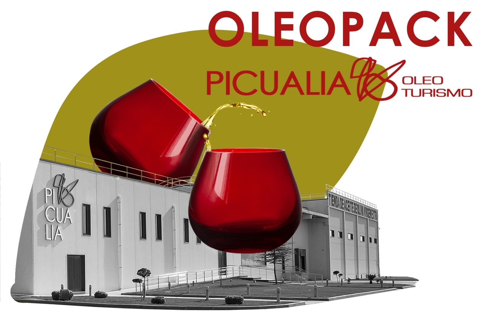 Olive Oil Mill Tours with Oleoturismo Picualia in Bailén