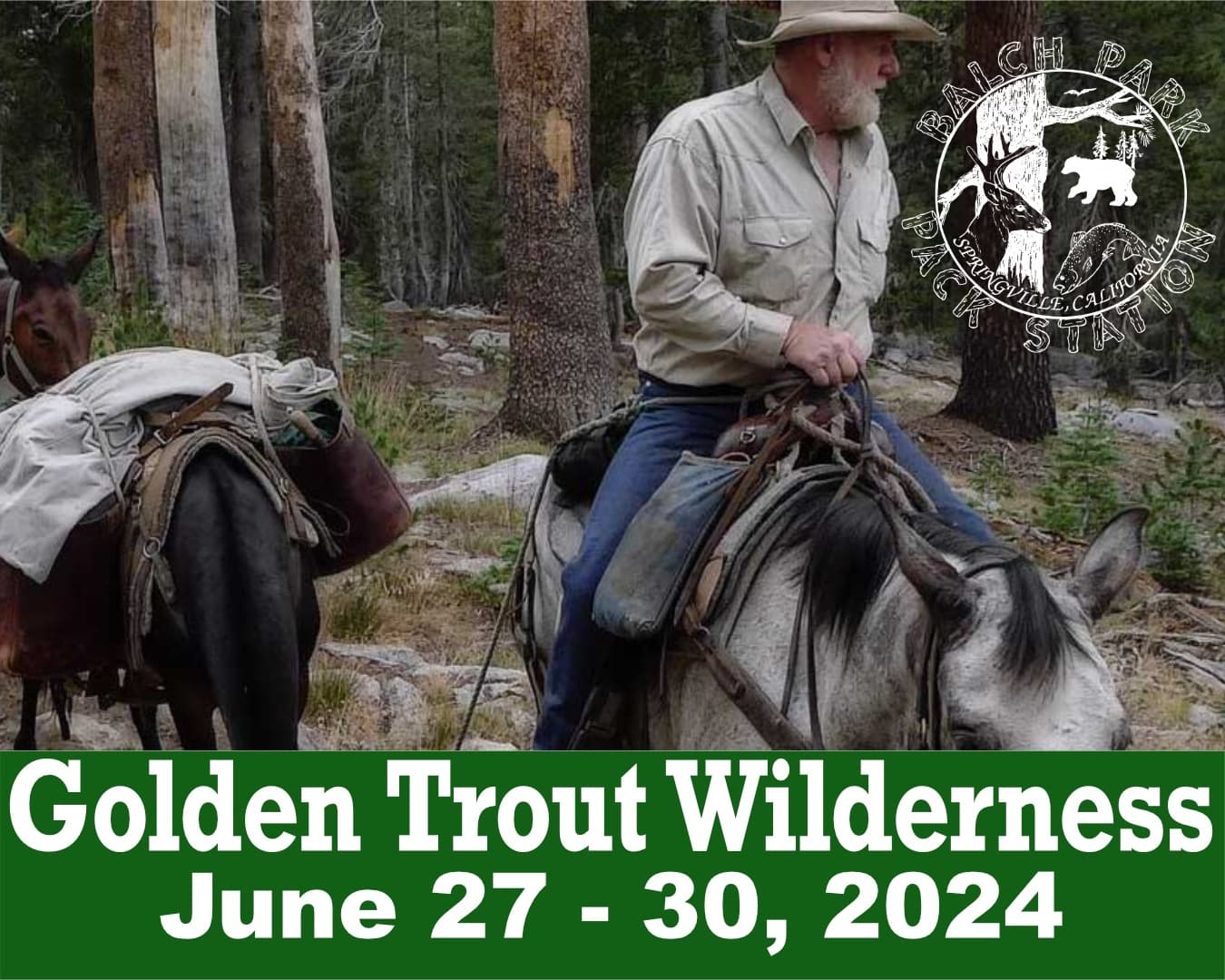Golden Trout Wilderness Pack Trip in Springville, CA