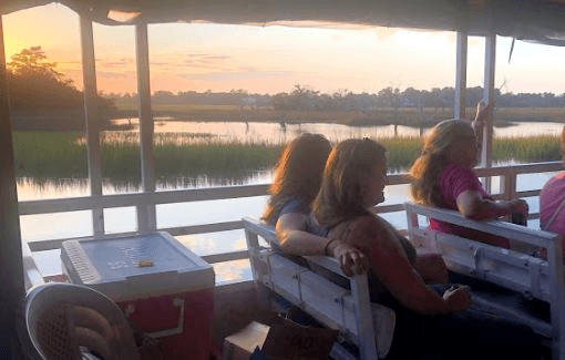 Salt-Marsh Eco Adventure: Savannah Dolphin & Wild Islands Cruise