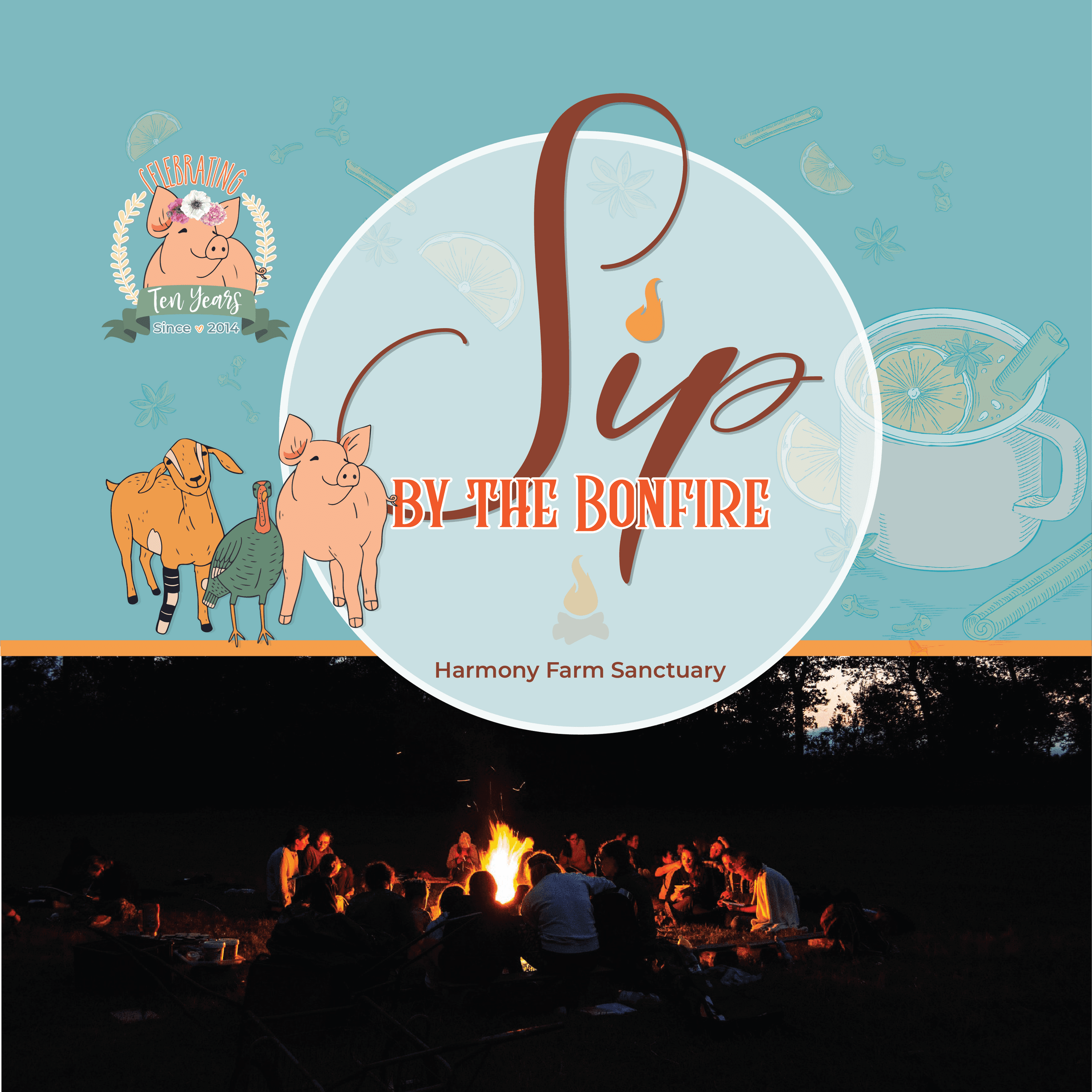 Campfire gathering at Harmony Farm Sanctuary field at dusk