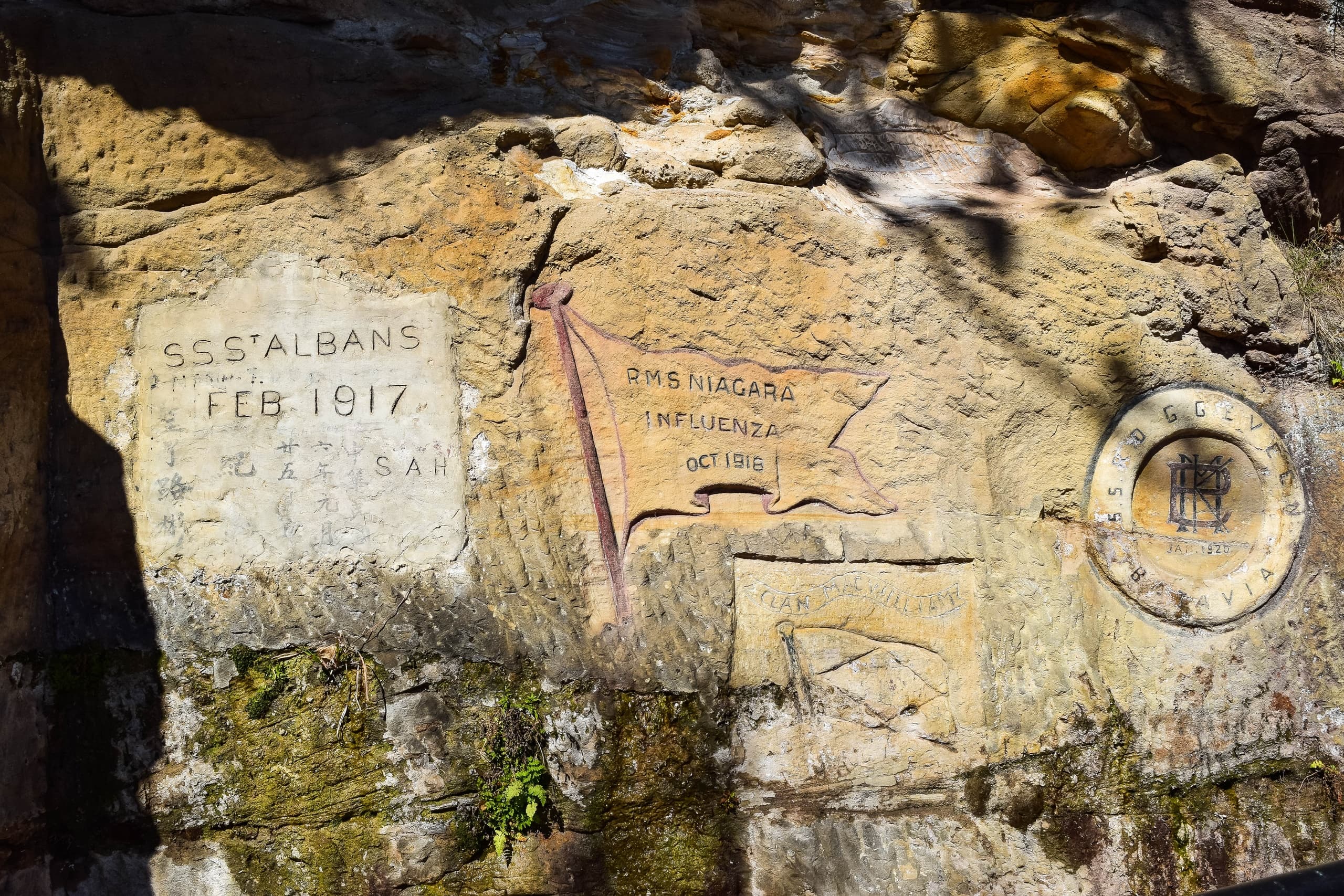 Express Excursion at Manly's Quarantine Station: One-Hour Educational Coastal Tour