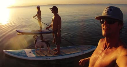 Friends paddleboarding at golden hour with a dog on board