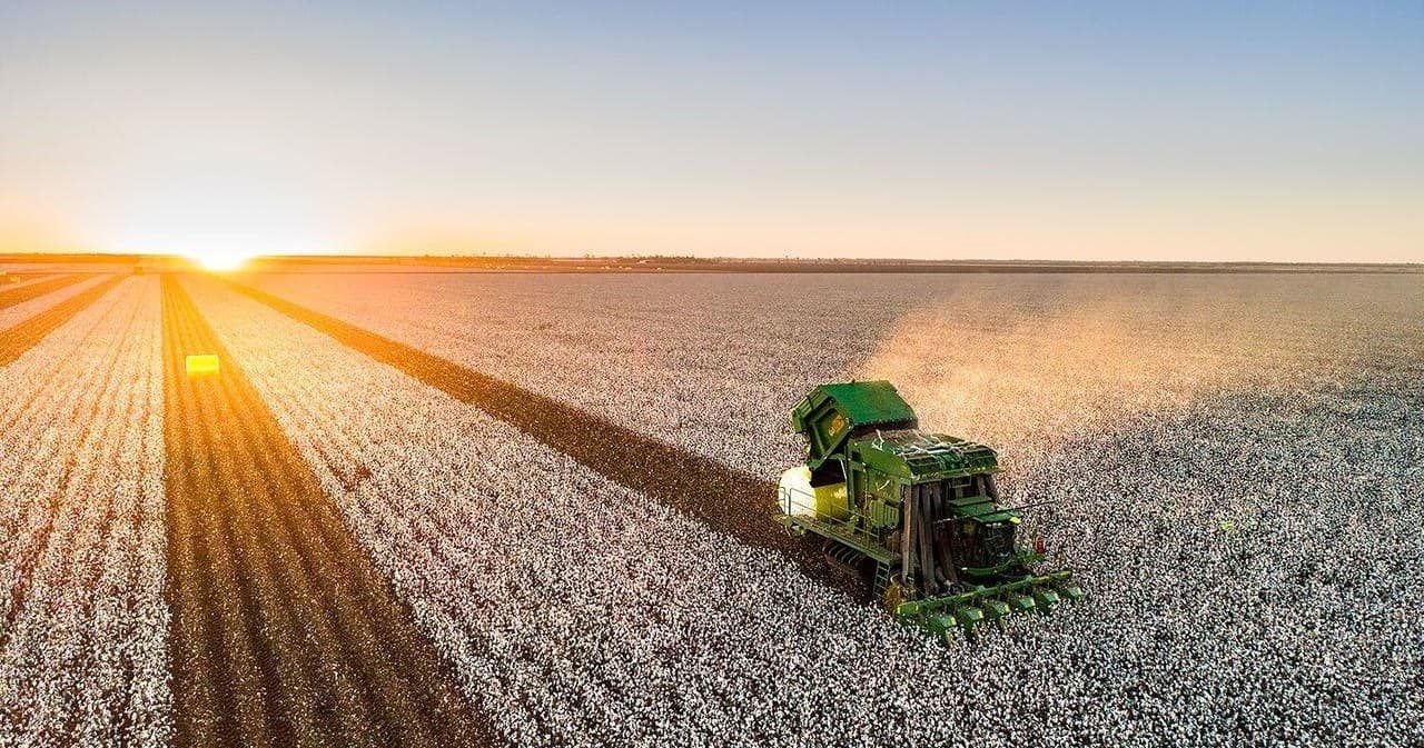 Cotton Farm & Town Tours with Goondiwindi Cotton Tours