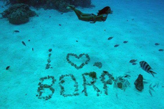 Snorkeling & Private Vegetarian Lunch with Moana Adventure Tours