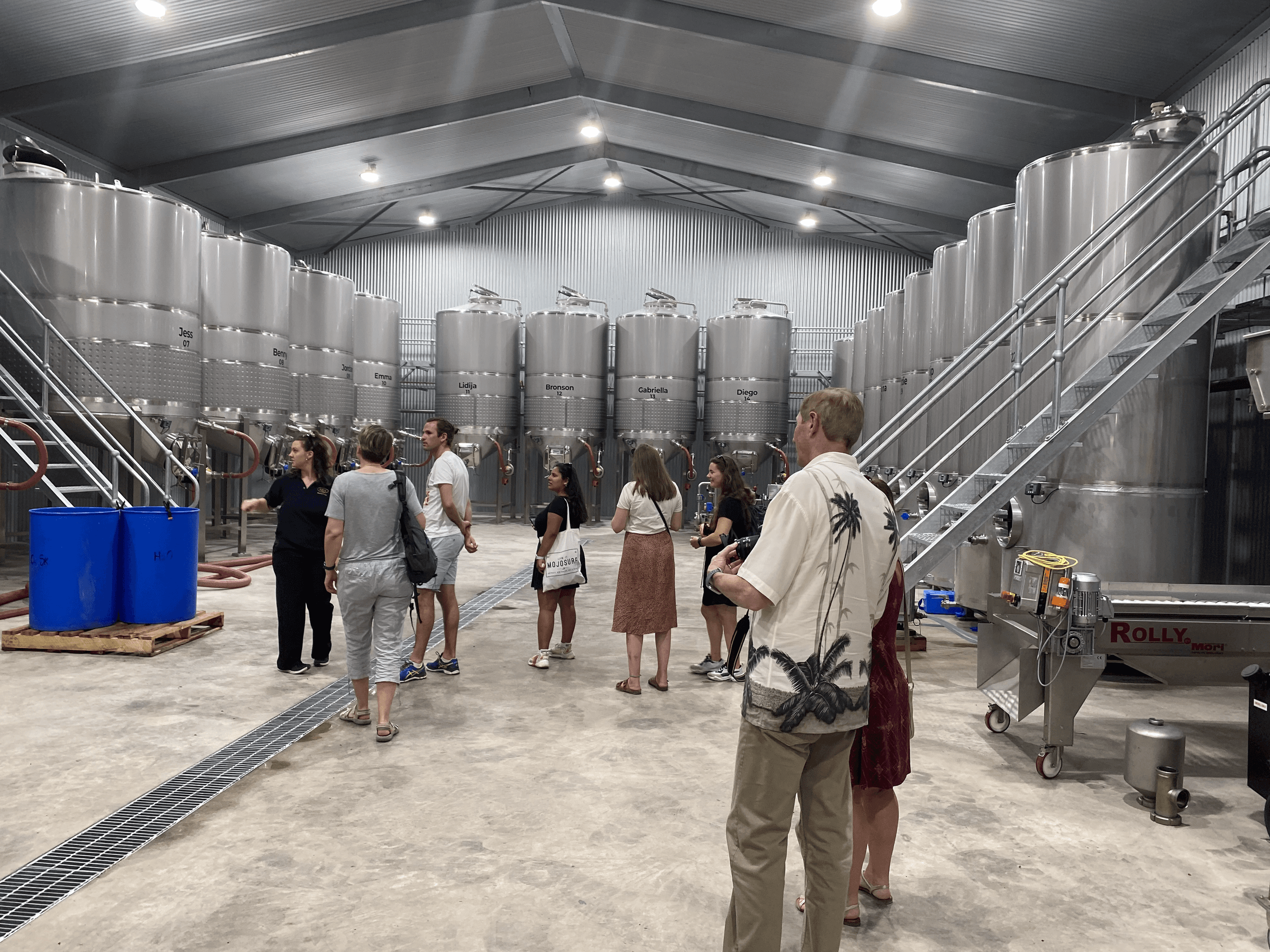 Wine Tasting & Scenic Views in Barossa Valley with BOS Tours