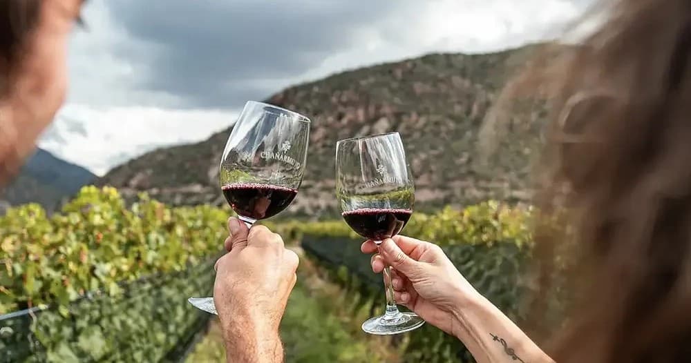 Couple clinking red wine glasses in vineyard with hills