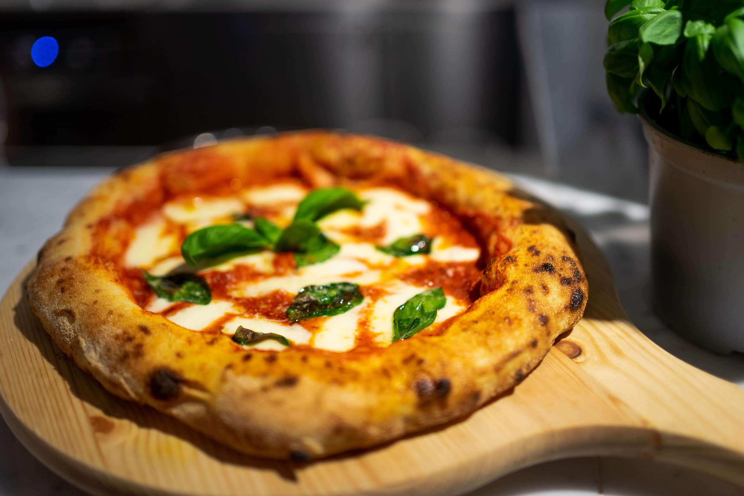 Pizza & Gelato Class in Rome with ItaliaTours