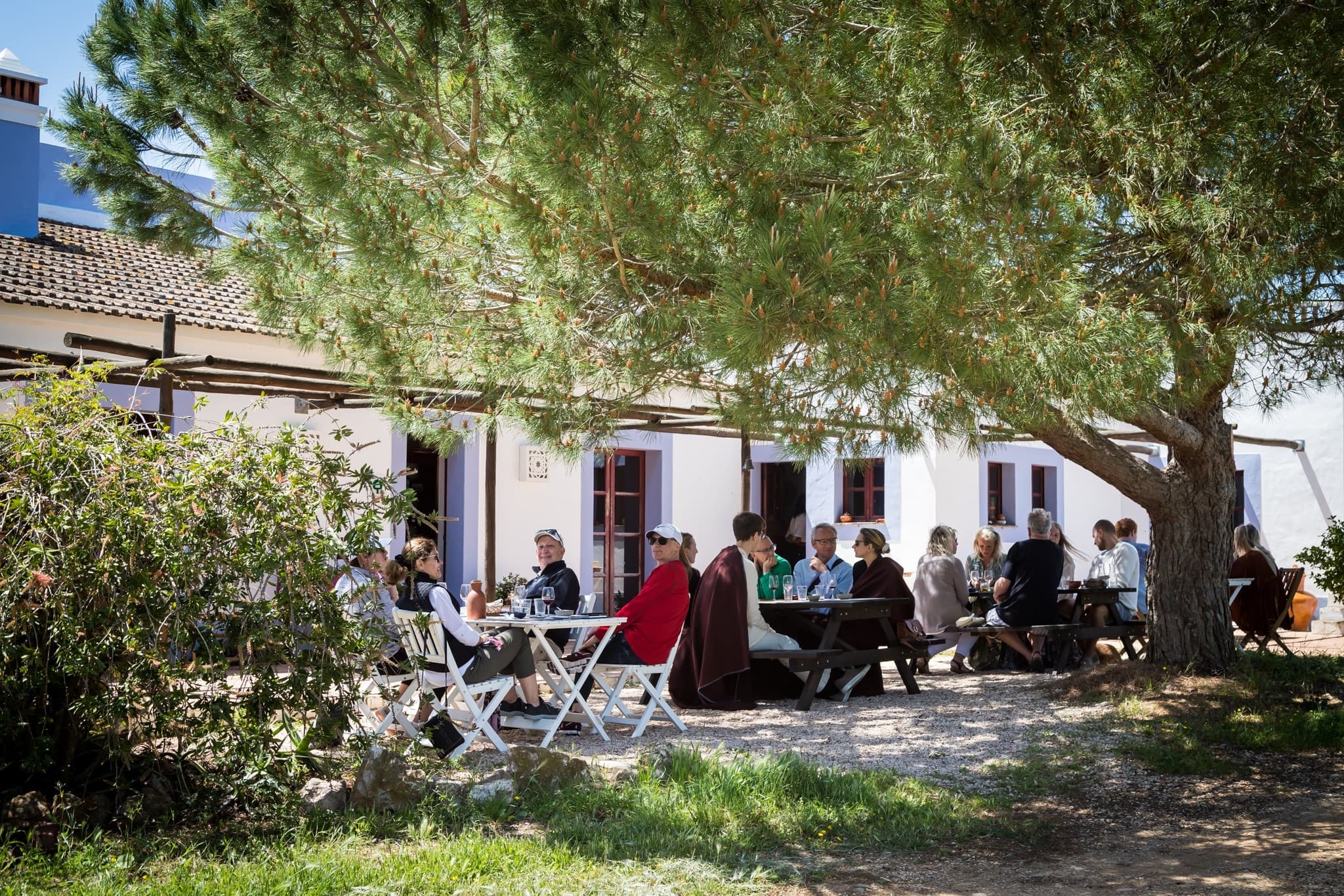 Terrace Wine Tasting at Monte da Casteleja: Organic Algarve Wines & Olive Pairings Near Lagos photo 1