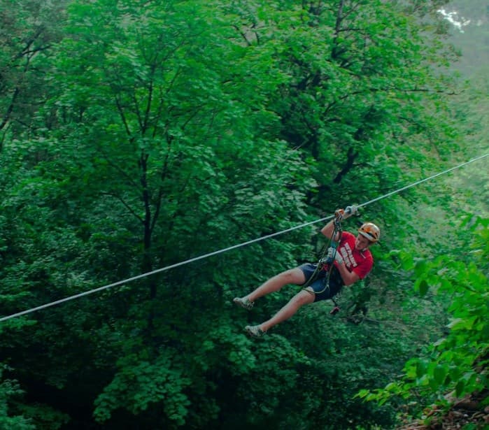Zipliner gliding through dense forest canopy on high cable