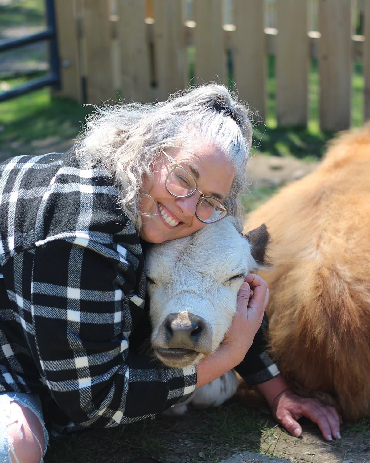 Private Pasture Picnic at Pure Passions Farm: Farm Animal Encounters Near Kent, OH photo 1