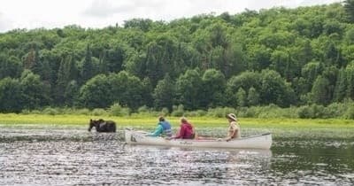 Water Activities & Algonquin Provincial Park Canoe Adventure
