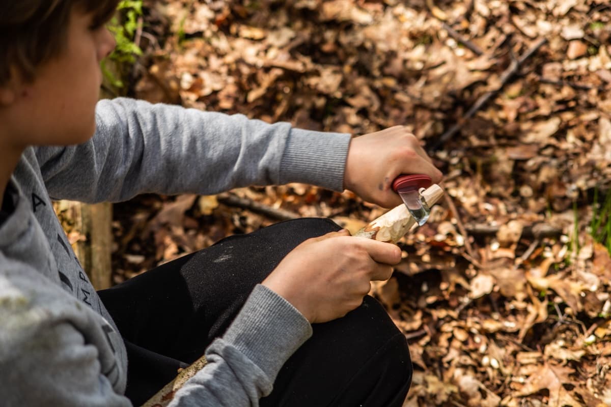 Knife and Saw Safety for Kids: Hands-On Bushcraft at Leersums Veld